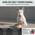 Cargar la imagen en la vista de la galería, Guía de uso y dosis diaria de Power Tabs según el peso del perro