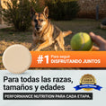 Cargar la imagen en la vista de la galería, Power Tabs suplemento muscular para perros de todas las razas, tamaños y edades