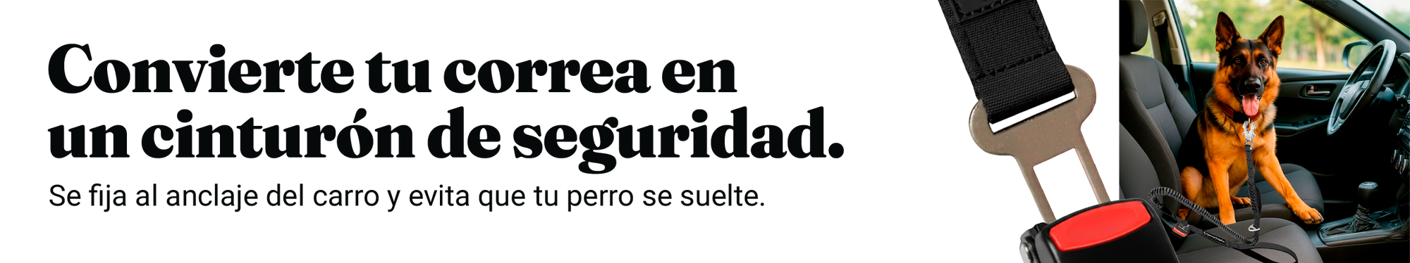 Imagen desktop
