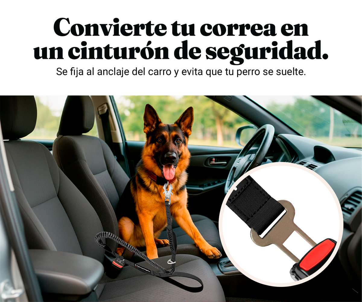 Imagen mobile