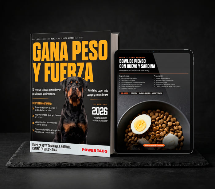 Guía