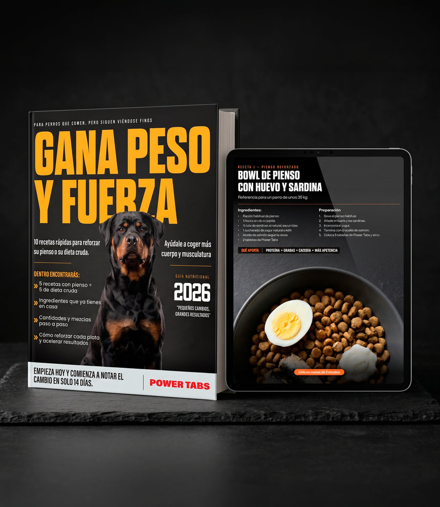 10 recetas para que tu perro gane peso y fuerza