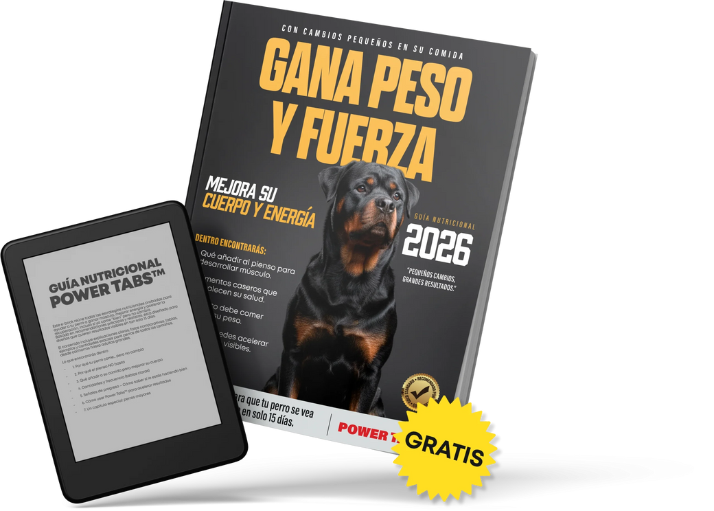 Guía Nutricional para que tu perro gane peso y energía