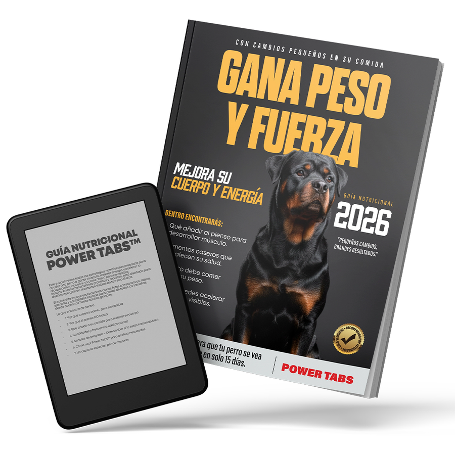 Guía Nutricional: peso y energía para tu perro