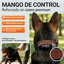 Mando de control Heavy Control