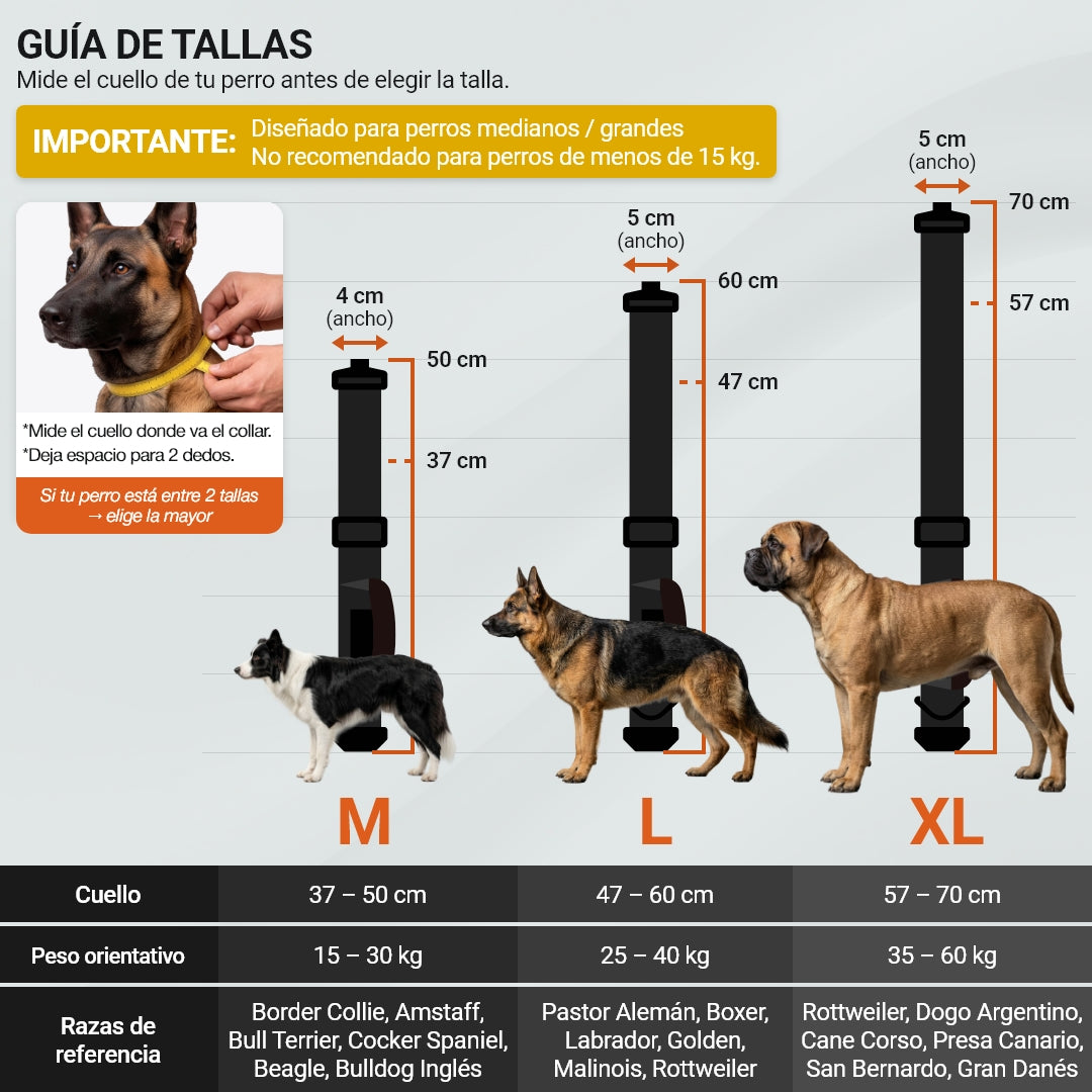 Heavy Control – Negro Blackout