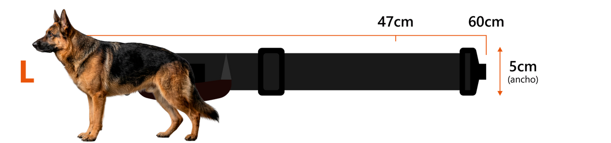 L