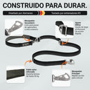 Sistema Shock Absorber Shockline
