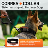 ShockLine – Gris nórdico