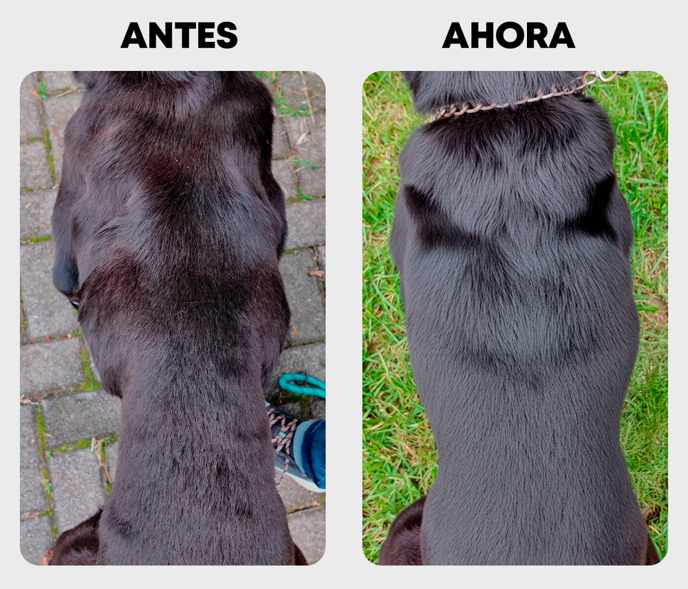 Antes y despues