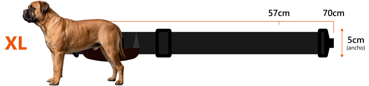 XL