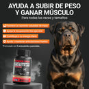 Power Tabs tabletas masticables