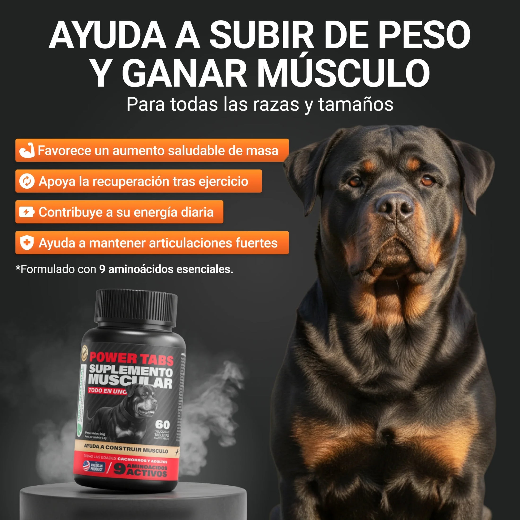 Beneficios de Power Tabs para perros: ayuda a subir peso, ganar músculo y mejorar recuperación y energía diaria