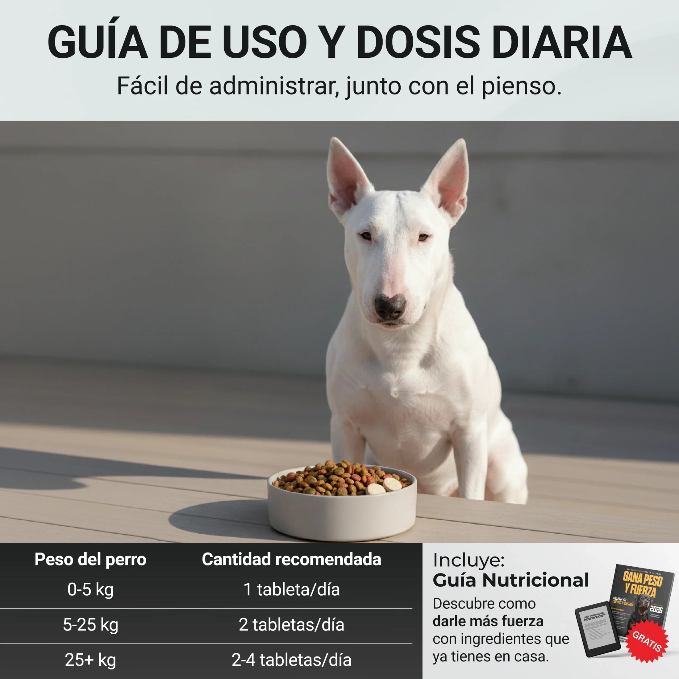 Guía de uso y dosis diaria de Power Tabs según el peso del perro