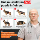 Power Tabs ingredientes