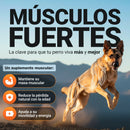 Power Tabs uso diario