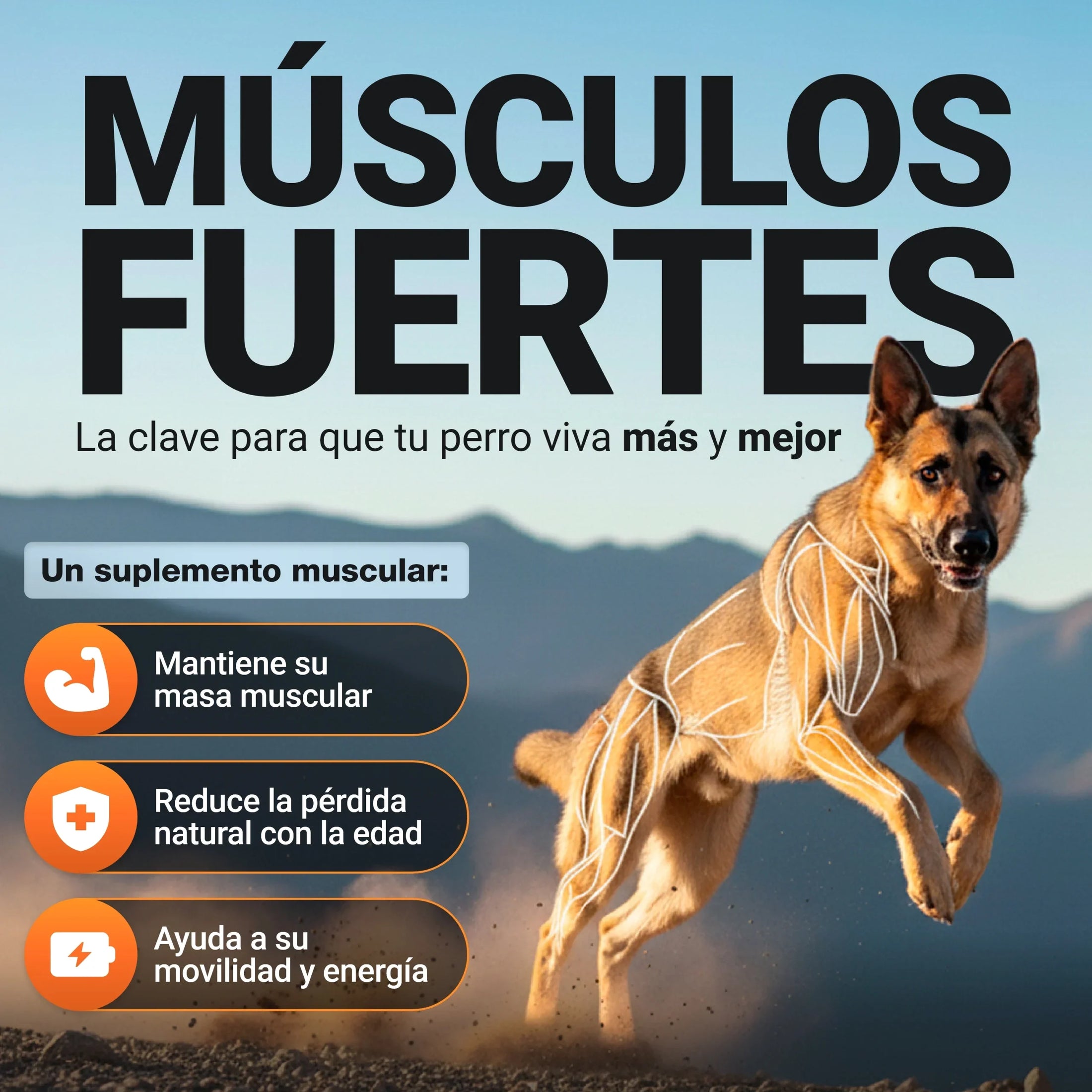 Power Tabs ayuda a mantener músculos fuertes, movilidad y energía en perros de todas las edades