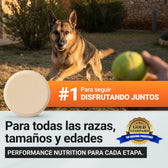 Power Tabs suplemento muscular para perros de todas las razas, tamaños y edades