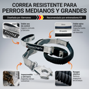 ShockLine — funcionalidades y resistencia