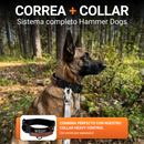 ShockLine y Heavy Control — sistema completo