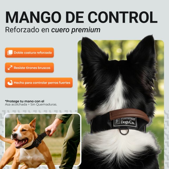 Collar HeavyControl™ – Negro básico - Imagen 3