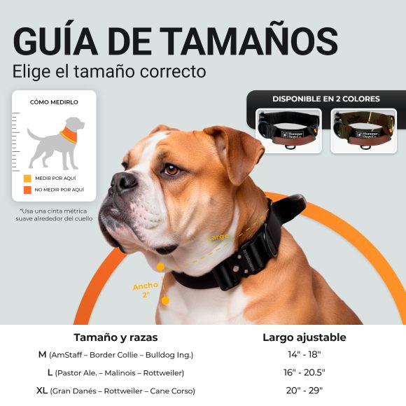 Collar HeavyControl™ + Correa ShockLine™  – Negro básico - Imagen 6