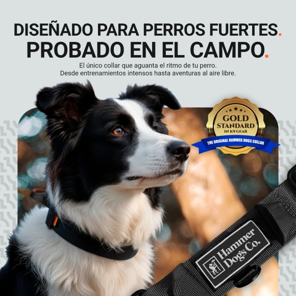 Collar HeavyControl™ – Negro básico - Imagen 6