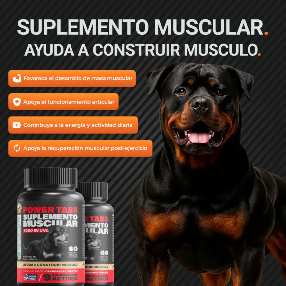 Hammer PowerTabs™ – Vitaminas - Imagen 2