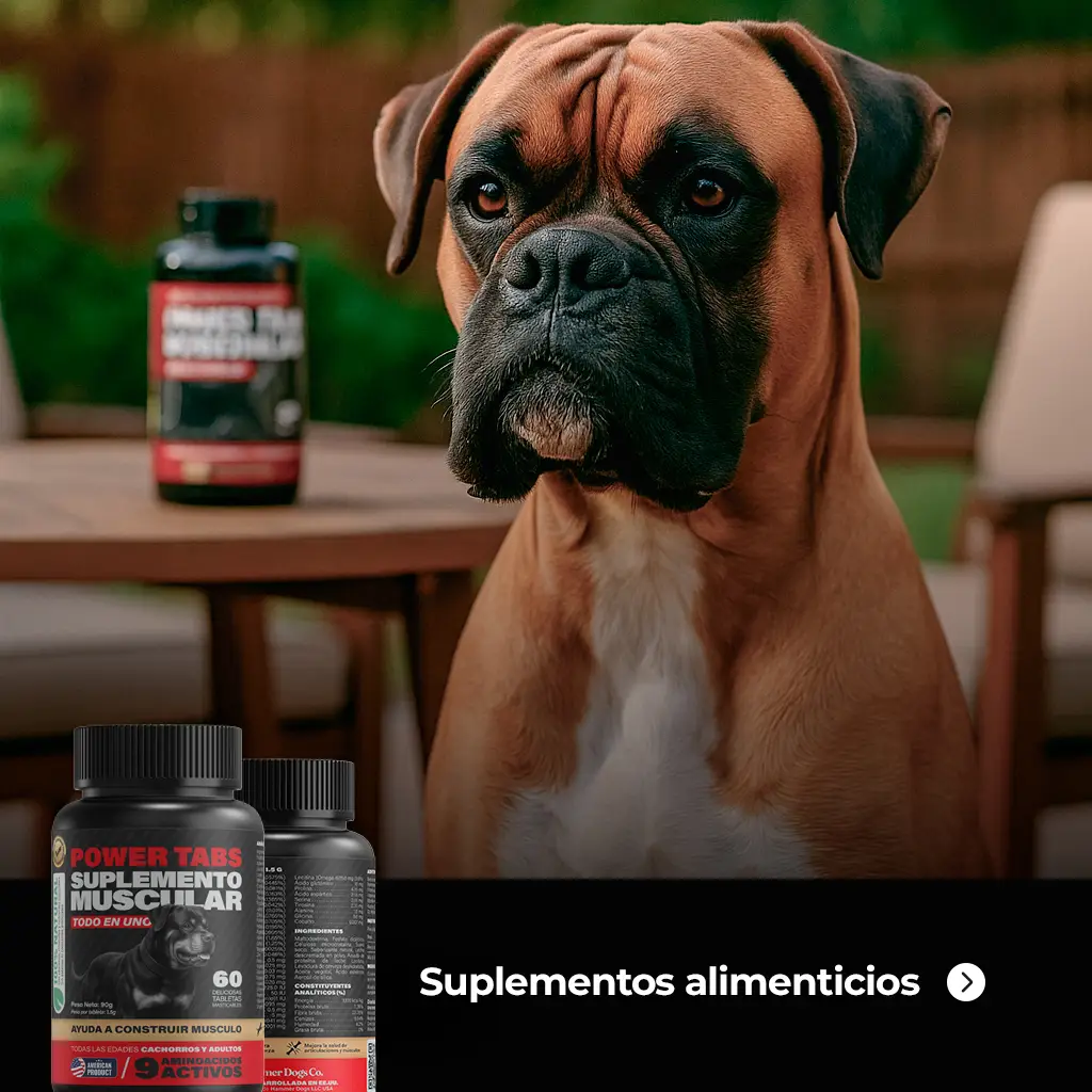 Perro Boxer recibiendo suplemento Power Tabs de Hammer Dogs