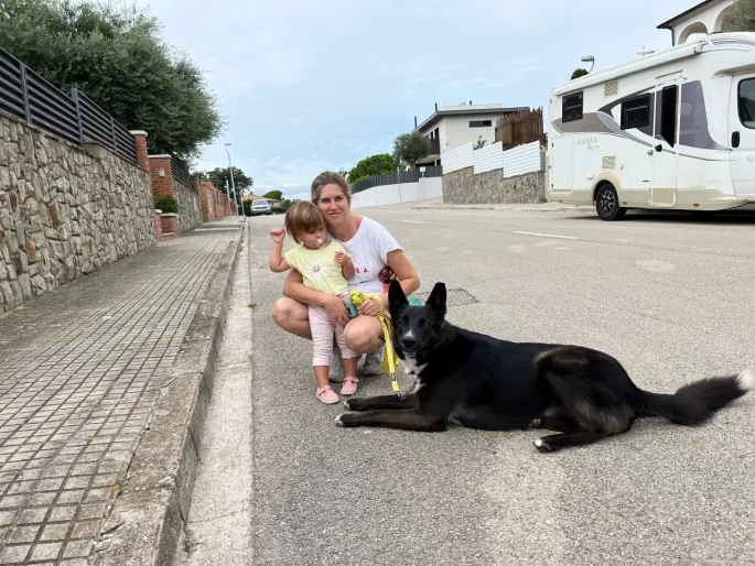 Cliente con hija pequeña junto a perro pastor alemán con collar Hammer Dogs en calle residencial