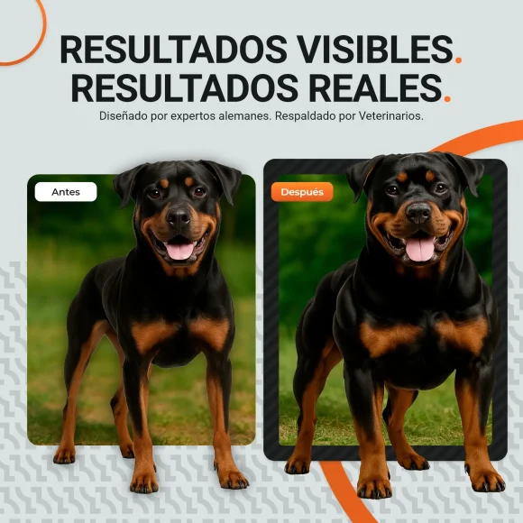 Hammer PowerTabs™ – Vitaminas - Imagen 3