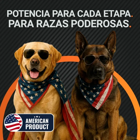 Hammer PowerTabs™ – Vitaminas - Imagen 5