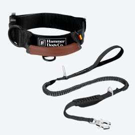 Collar HeavyControl™ + Correa ShockLine™  – Negro básico