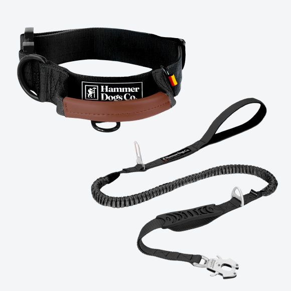 Collar HeavyControl™ + Correa ShockLine™  – Negro básico